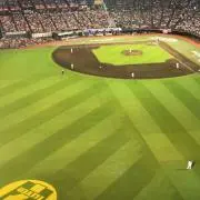 Kennyの画像