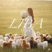 LIBAの画像