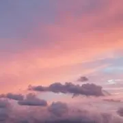 バンビ