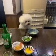 nono