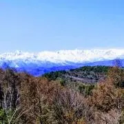 ゆうの画像