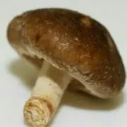 ふぁぶあめ