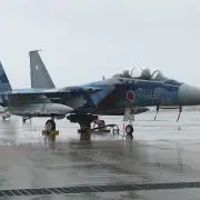 アグレッサーの画像