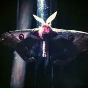 タクピーの画像