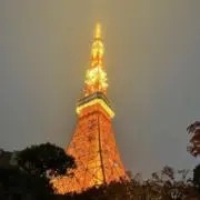 Maitaの画像