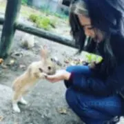とぅるの画像