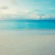 ゆいの画像