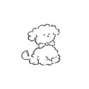 POTATO POTATOの画像