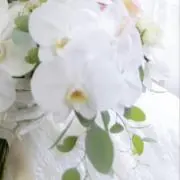 ココなな☘の画像