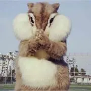 ぴよカリの画像