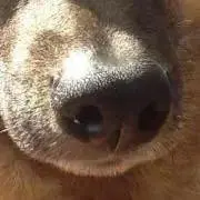 あき