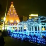 3匹のこぶたの画像