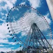 花の画像