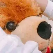 かちの画像