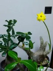 じゅんの画像
