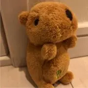 とろとろKの画像