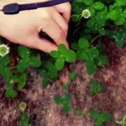 aaの画像