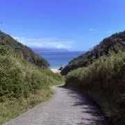 ichigoの画像
