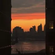 チムの画像