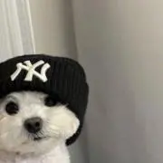 まるの画像