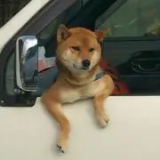 バンビーノ♡