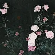 h(即購入可.まとめ買い歓迎 即日発送の画像
