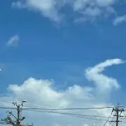 人はなぜラブレターを書くのか B1サイズポスター 綾瀬はるか 當間あみ