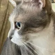 城下の森の画像