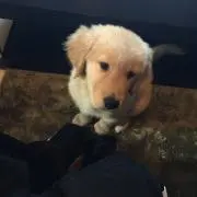 おっくん