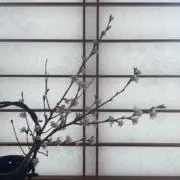 Hanaikadaの画像