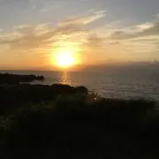 シュウの画像