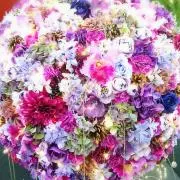 ❀ひら❀