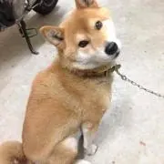 ☆☆HIRO'S☆☆の画像