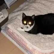 momocoの画像