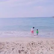 まゆぽん