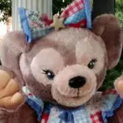 ぽん