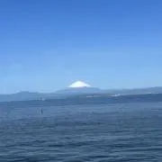 ちゃんぴ