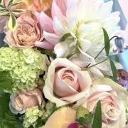 soraの画像
