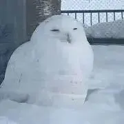 Mc Gの画像