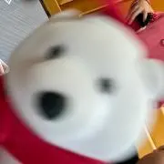 もかの画像