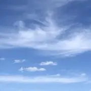 朝起きたら鱈の画像