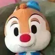 ぴこの画像