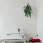 りょ