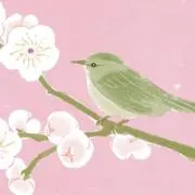 はなっぴ‪(プロフ必ずお読みください)の画像
