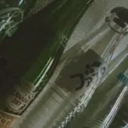 フルギンの画像