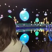のんの画像