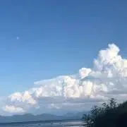 K kの画像
