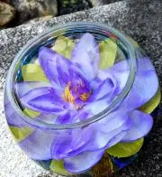 ✺mir✺の画像