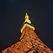 ポコポコの画像