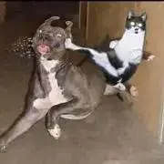 しびち